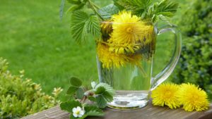 dandelion-2232626_1920 dandelion-2232626_1920